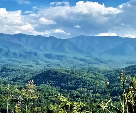 Stickels Service Co Inc