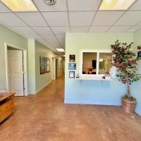 Woodard Electric Services Inc ico