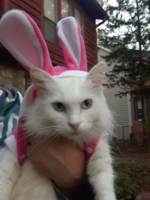 Atlanta North Cooling and Heating Inc Picture 5