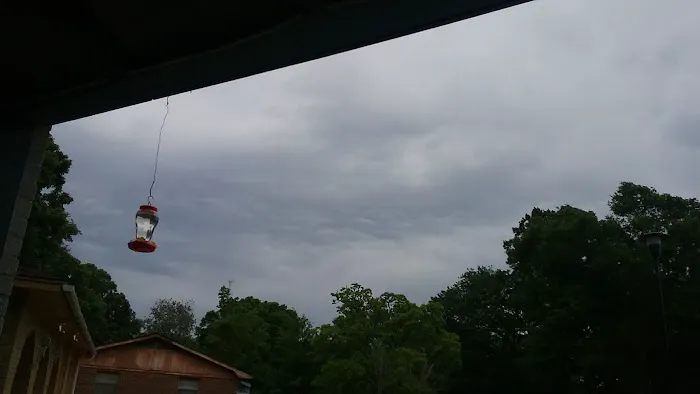 McClure's Comfort Zone Picture 3