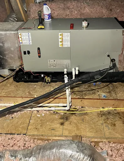 McClure's Comfort Zone Picture 4