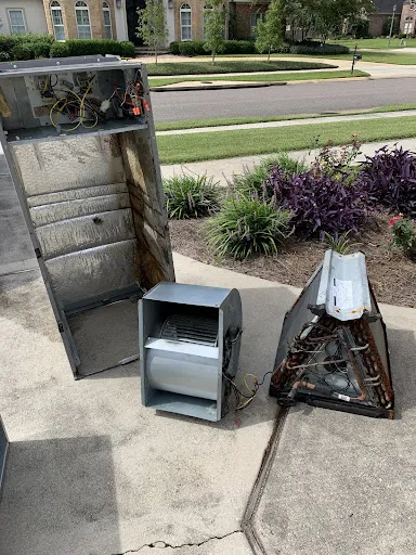 McClure's Comfort Zone Picture 1