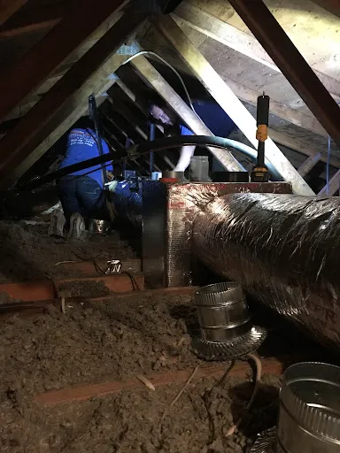 McClure's Comfort Zone Picture 5