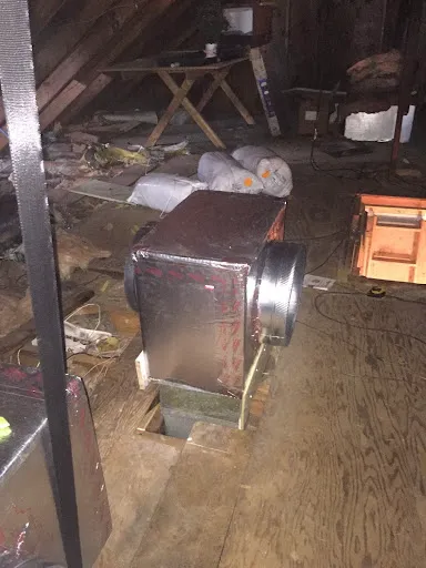 McClure's Comfort Zone Picture 9