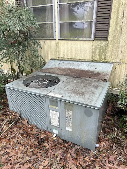 McClure's Comfort Zone Picture 10