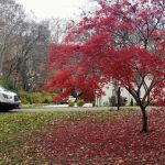 Lovelace Service Heating & Air