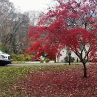 Lovelace Service Heating & Air ico