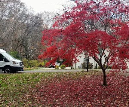 Lovelace Service Heating & Air