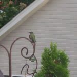 Chenault Heating & Cooling