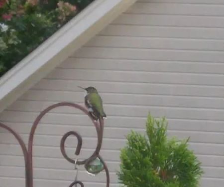 Chenault Heating & Cooling