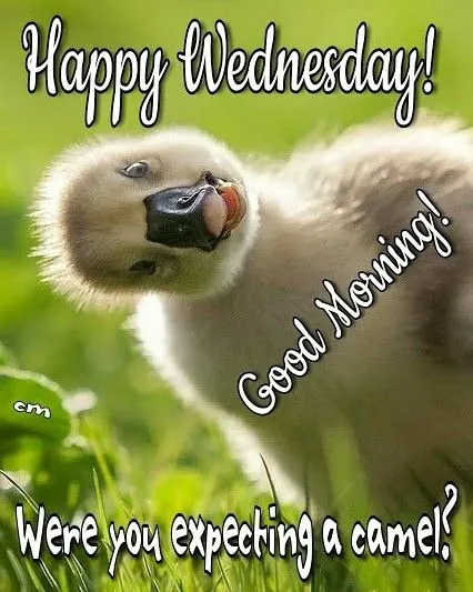 Southern Heating & Cooling, LLC Picture 3