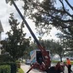 Conditioned Air Naples