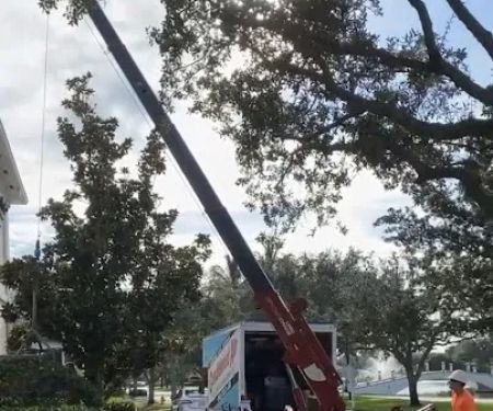 Conditioned Air Naples