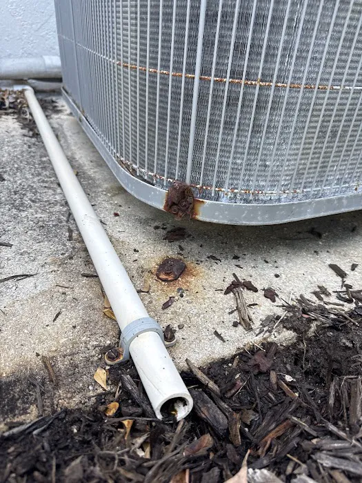 Conditioned Air Naples Picture 7