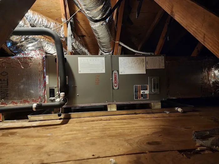 Conditioned Air Naples Picture 5