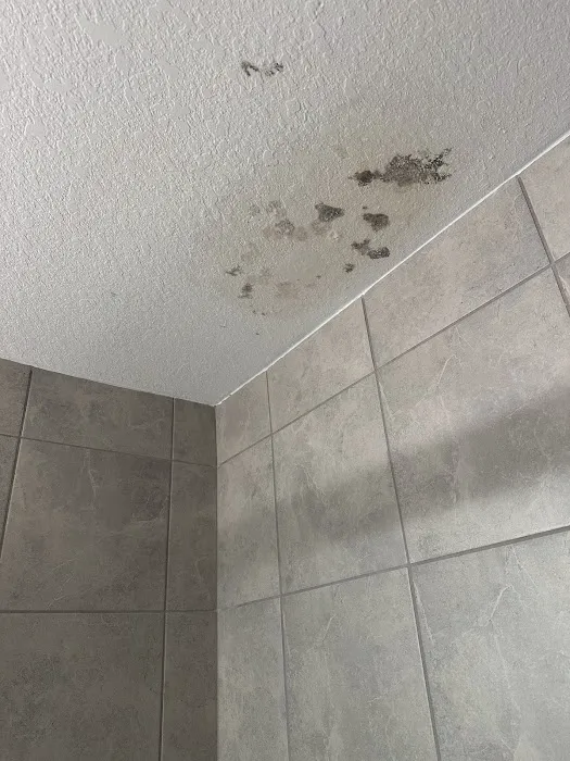 Conditioned Air Naples Picture 10