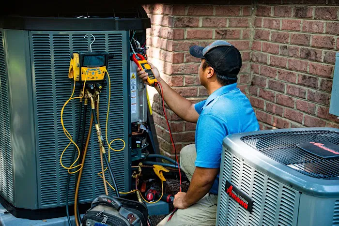 Prime Comfort Picture 5