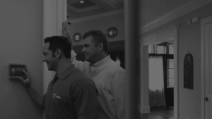 Prime Comfort Picture 8