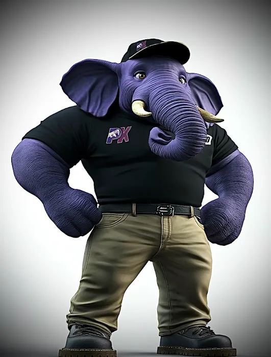 Plumb Krazy Plumbing of Charlotte Picture 2