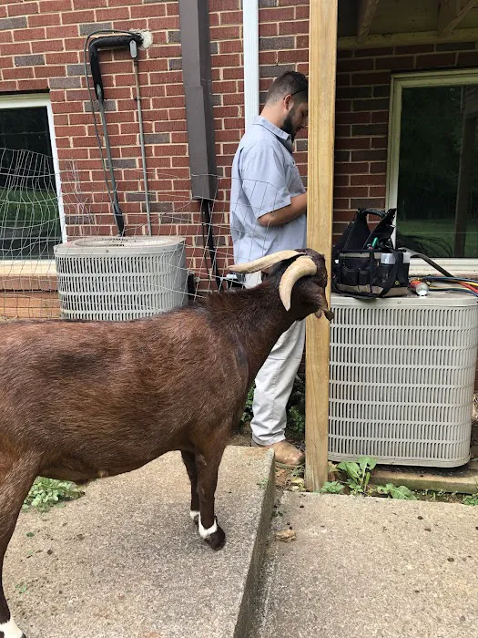 Hartz Heating & Cooling Inc Picture 2