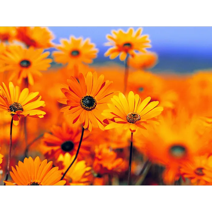 CROFT'S HEATING & AIR Picture 6