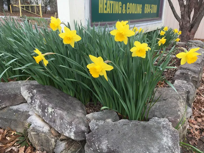 Thompson Mechanical Inc Picture 3