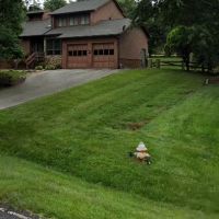 Air Force One Heating & Cooling ico