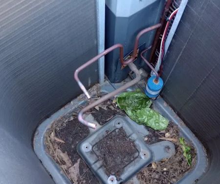 Alliance Heating & Cooling Services