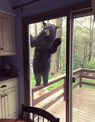 Bullman Heating & Air Inc Picture 7