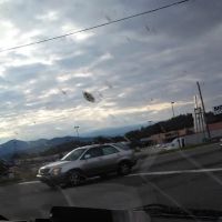 Mercury Electric Services ico