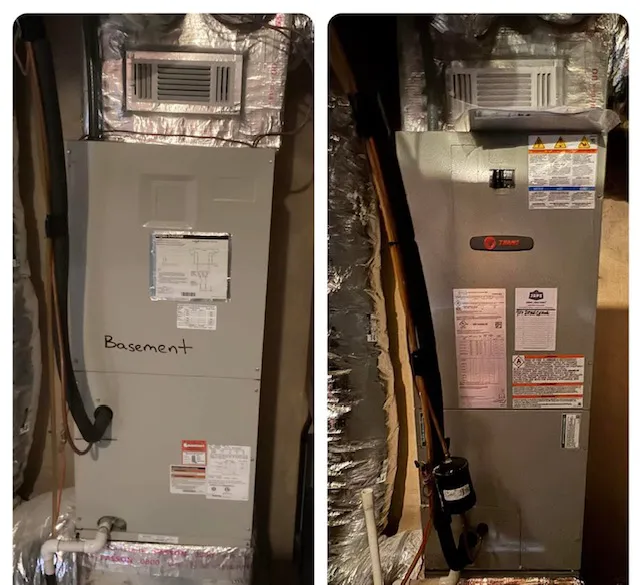 Jape Services Picture 5