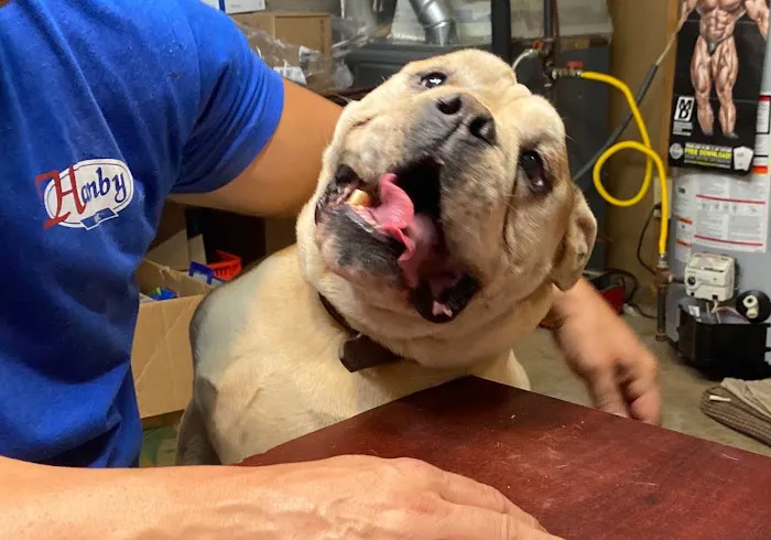 Hamby HVAC Picture 4