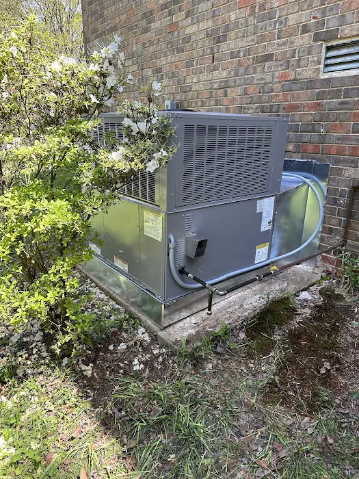 Air Outlook Inc Picture 3