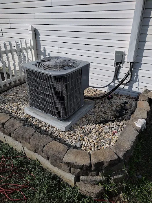 Hep is on the way Picture 6