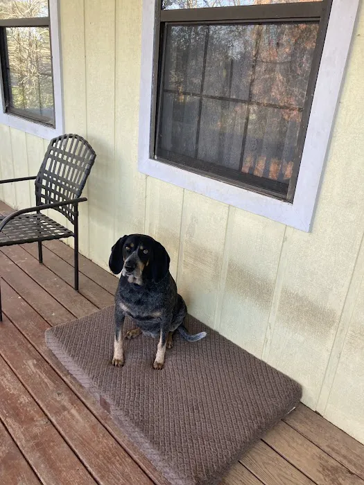 Action Air Picture 9