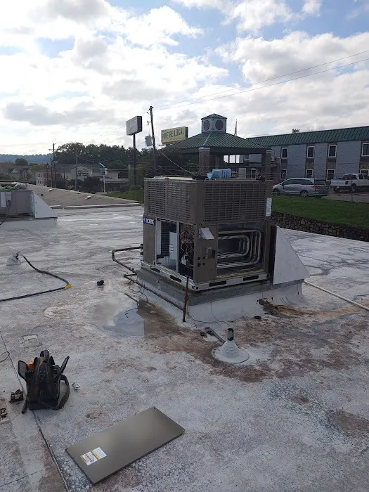 Oasis Heating and Air Picture 3