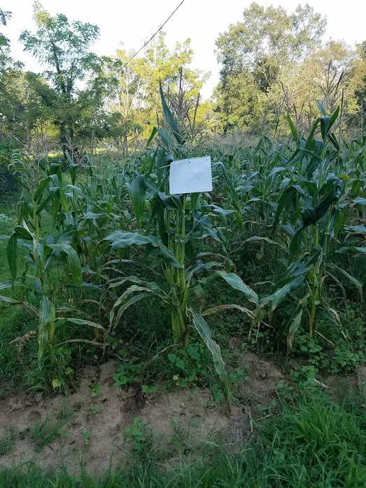 Sam's Heating & Air Picture 3