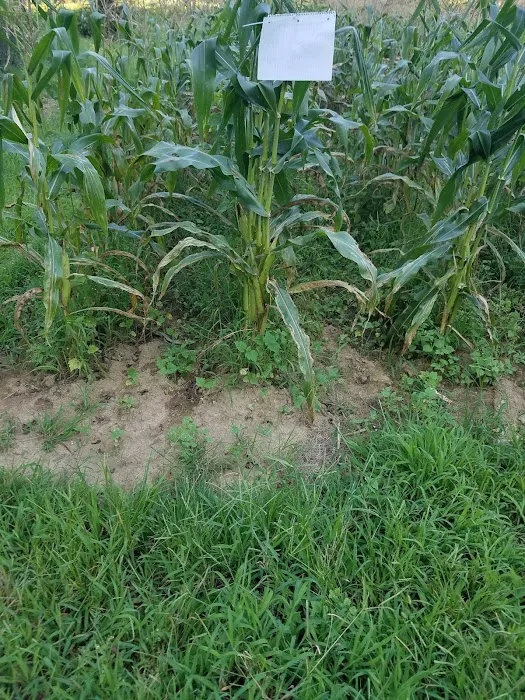 Sam's Heating & Air Picture 2