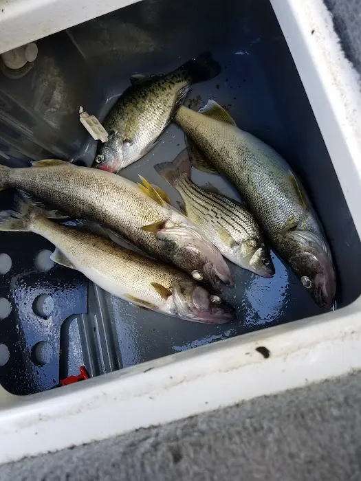 Sam's Heating & Air Picture 6