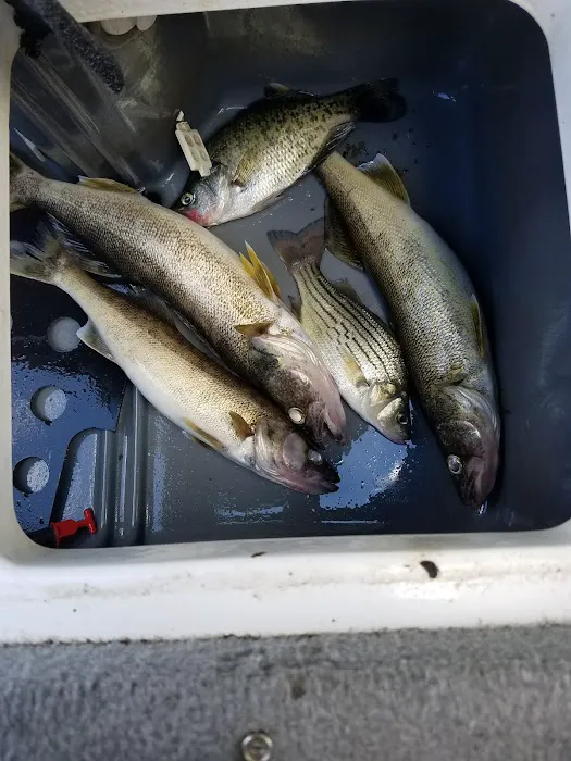 Sam's Heating & Air Picture 4