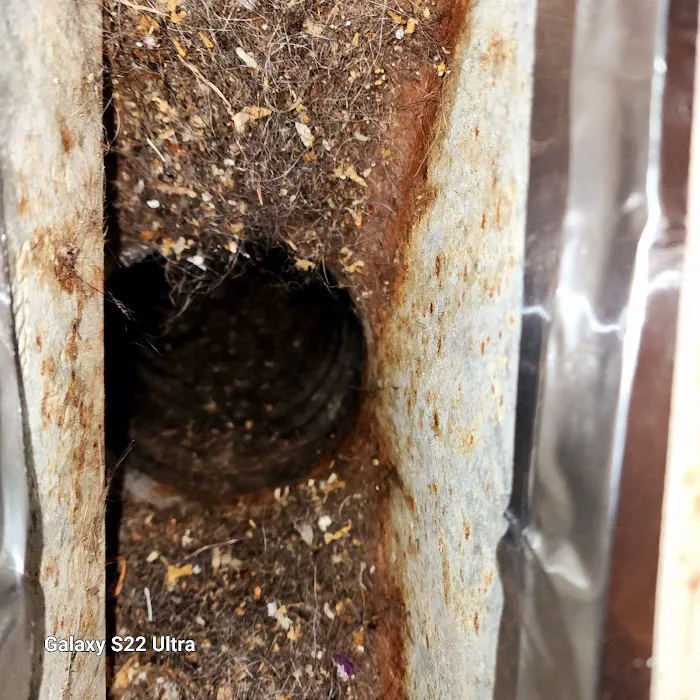 DUCTS Air Duct Cleaning, Inc. Picture 6