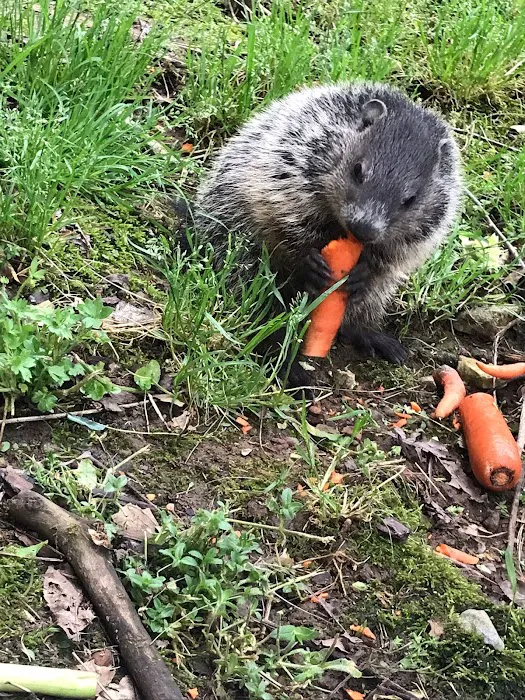 Mountain Service Heating & Air Picture 1