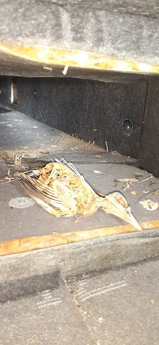 DUCTZ Indoor Air Professionals Picture 3