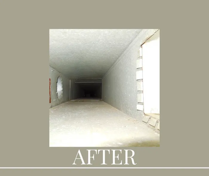 DUCTZ Indoor Air Professionals Picture 7