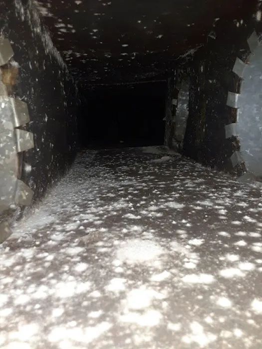 DUCTZ Indoor Air Professionals Picture 5