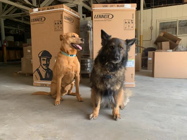 Air Specialties Heating & Cooling Picture 7