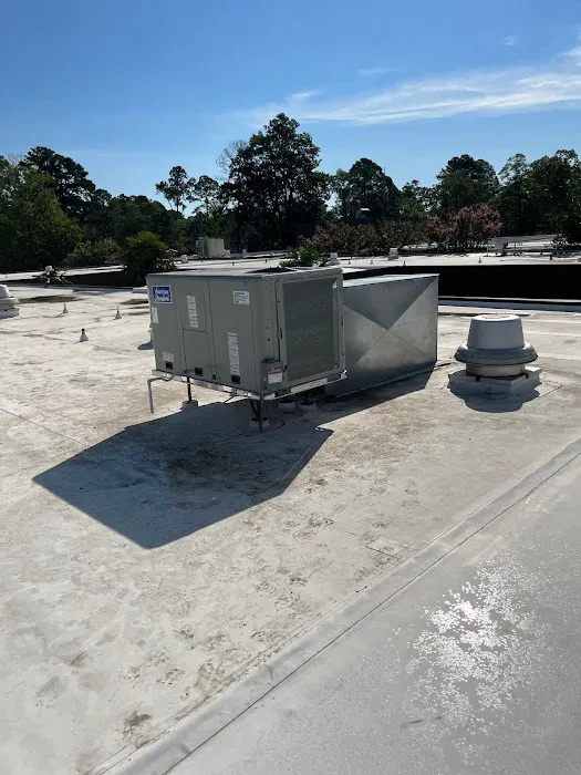 Palmetto Heating & Cooling Picture 2