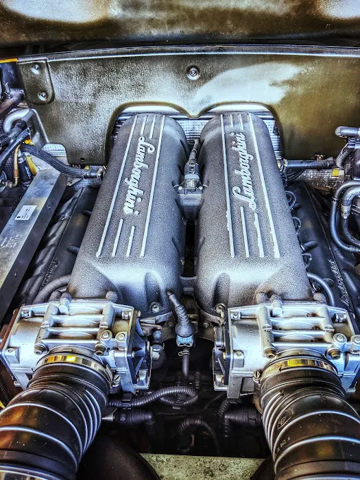 Elite Euro Picture 2