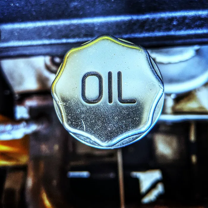 Elite Euro Picture 4