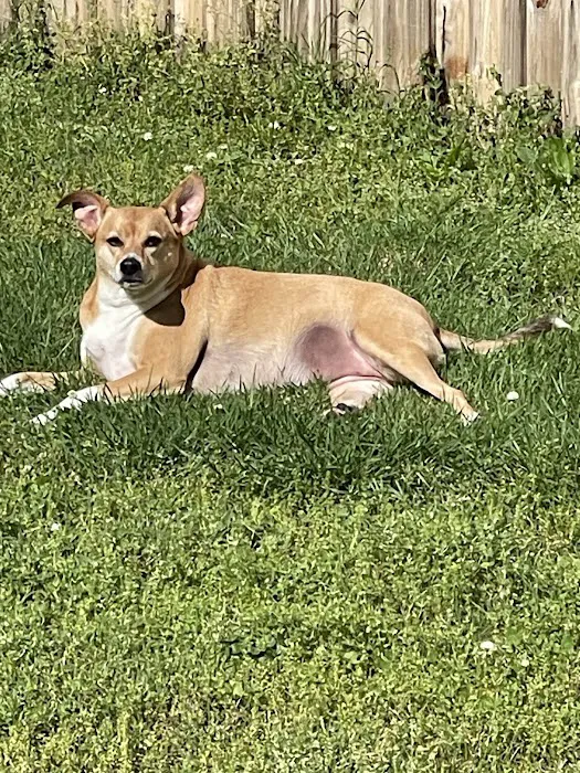 Eneco Inc. Quality Since 1977 Picture 3